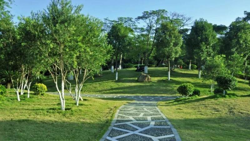 中超赛程怎么查最准？搞懂编排逻辑与调整规则就不怕找错